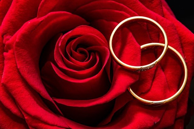 snubní prsteny na růži.jpg